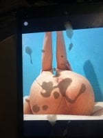 IMG_8973.jpeg