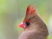 IMG_3776.jpeg