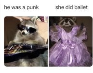 IMG_6431.jpeg