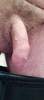 IMG20260121091819.jpg