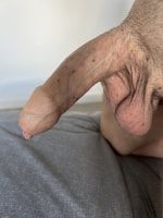 IMG_4323.jpeg
