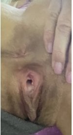 IMG_9803.jpeg