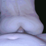 1000002756.gif