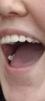 sjjsj.png