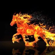 Wildfire711