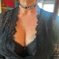Stagand vixen