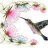 Hummingbird