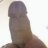 Kinkytroyboy69