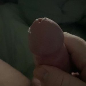 IMG_2987.jpeg