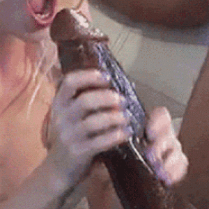 65ae539d958522d487e7fa16121e9a00.gif