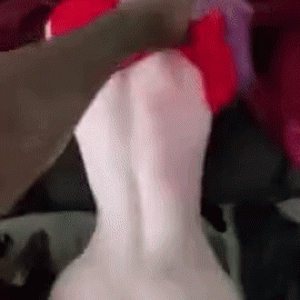 665bbcdf5ff04f5d96b1b2c93ccf99d8.gif