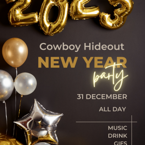 Cowboy new years .png