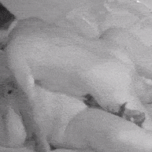 traceygifs (7).gif
