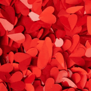 GIF_20241106_084747_073.gif
